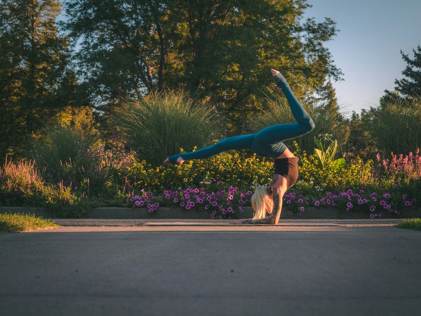 The Journey from Beginner to Elite Gymnast